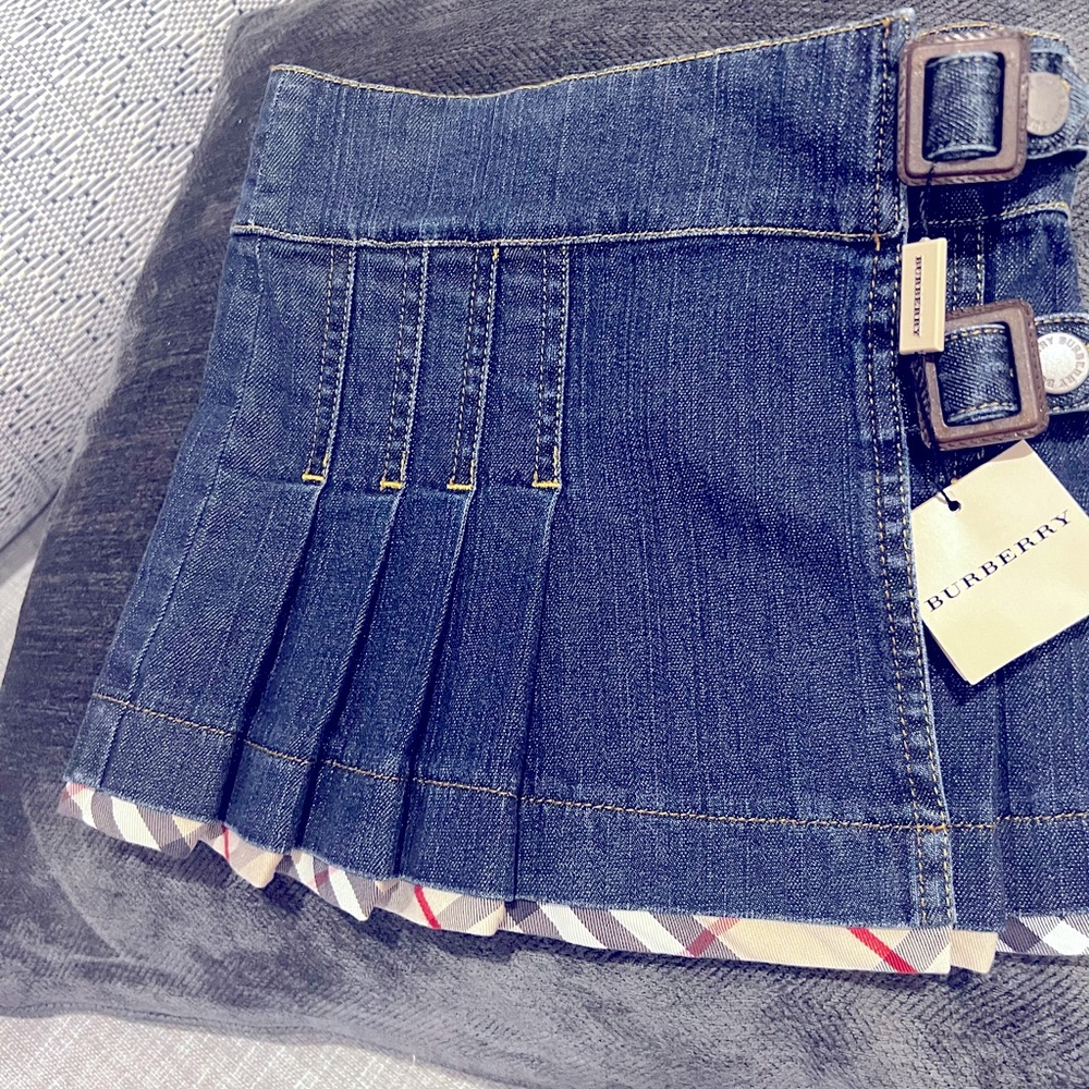 Burberry skirt